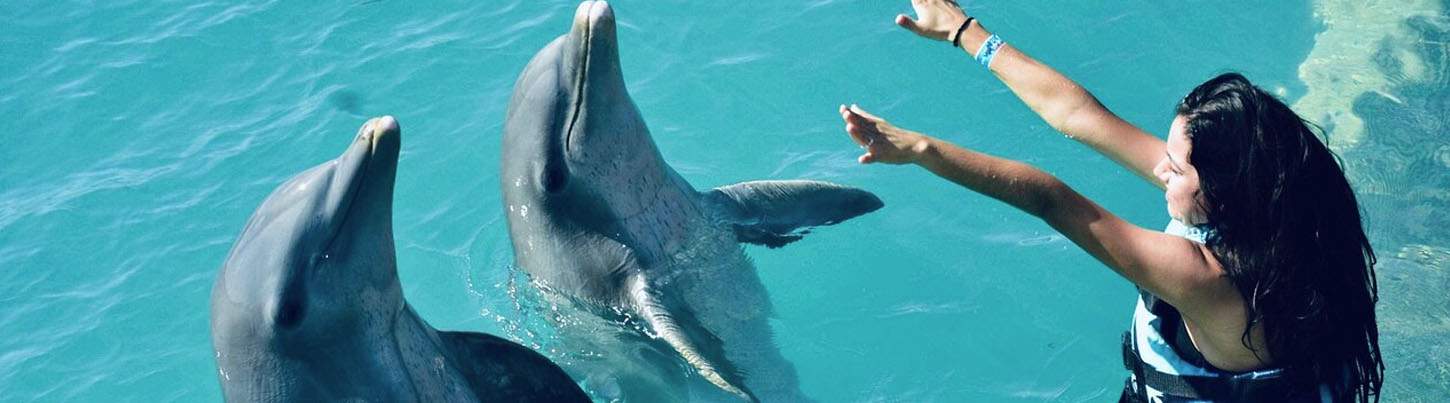 Isla Mujeres Dolphin Encounter 2