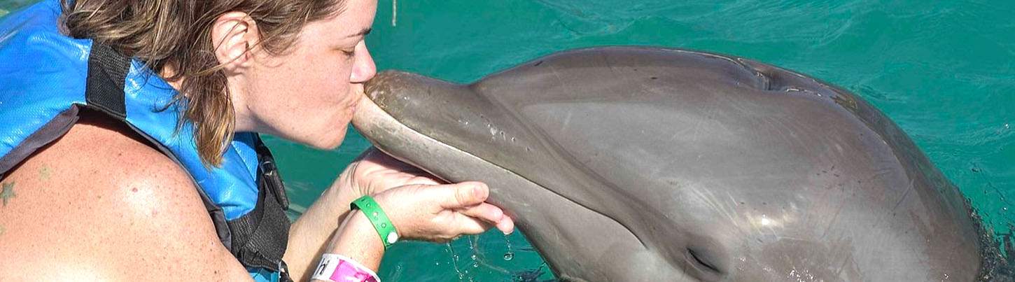 Isla Mujeres Dolphin Encounter 4