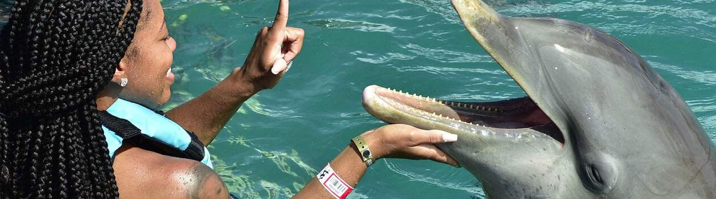Isla Mujeres Dolphin Encounter 7