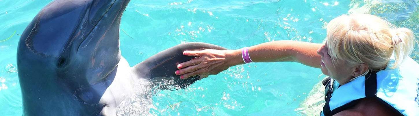 Isla Mujeres Dolphin Swim Adventure 2