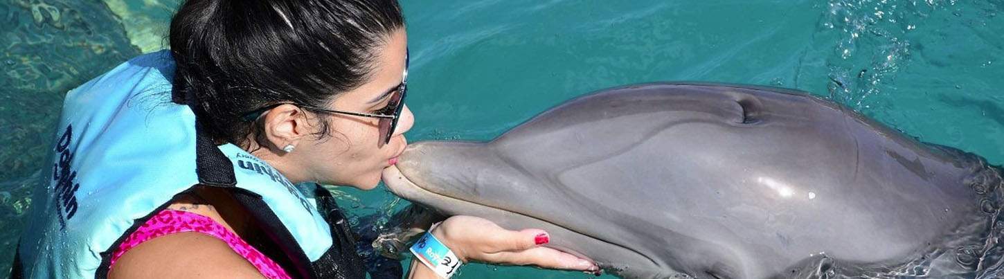 Isla Mujeres Dolphin Swim Adventure 3