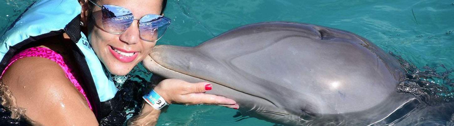 Isla Mujeres Dolphin Swim Adventure 6