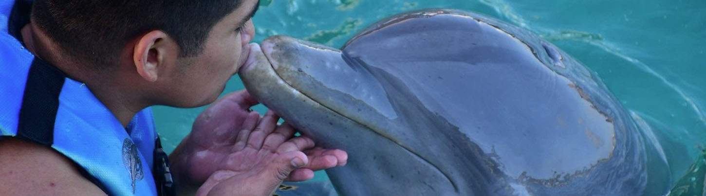 Isla Mujeres Dolphin Swim Adventure 7