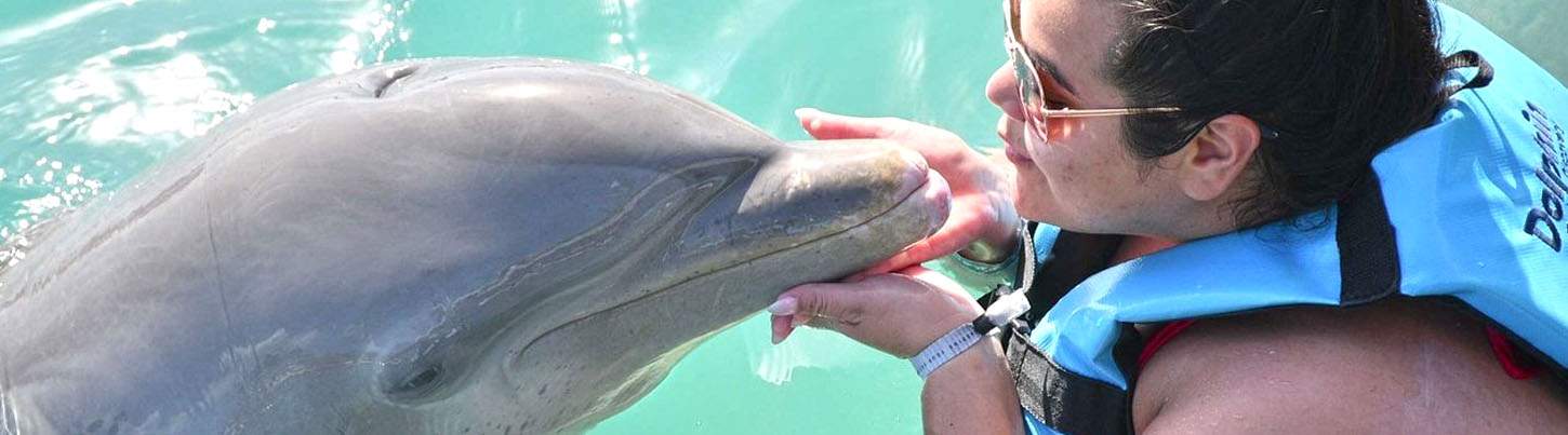 Isla Mujeres Dolphin Swim + Manatees & Sea Lion Combo 1