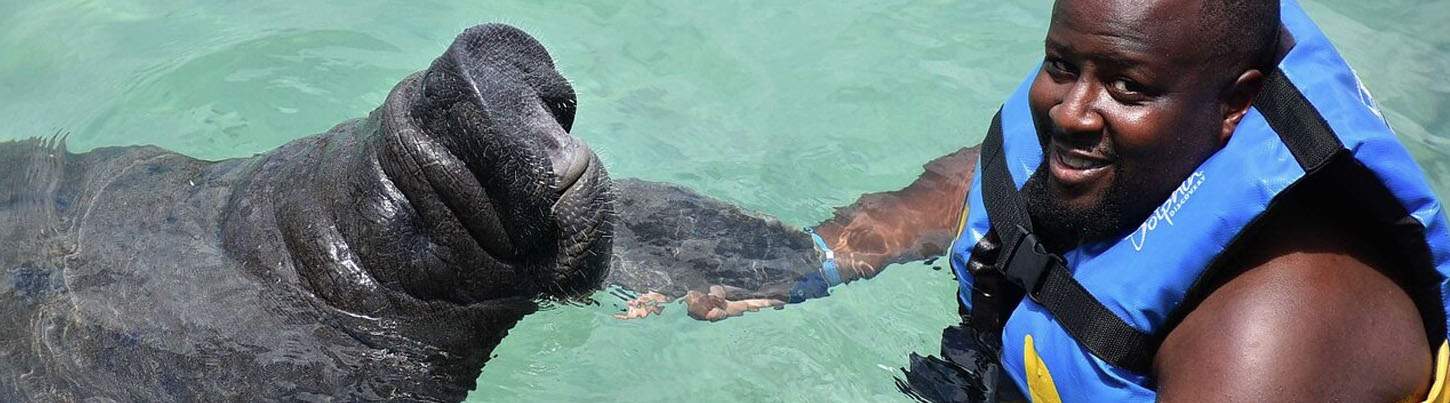 Isla Mujeres Dolphin Swim + Manatees & Sea Lion Combo 2