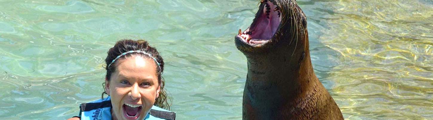 Isla Mujeres Dolphin Swim + Manatees & Sea Lion Combo 7