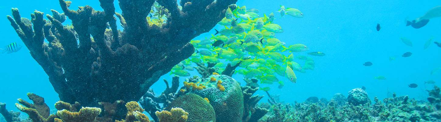 Luxury Sail to Isla Mujeres 5