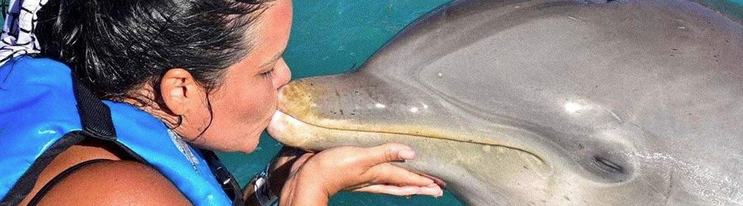 Isla Mujeres Royal Dolphin Swim 2