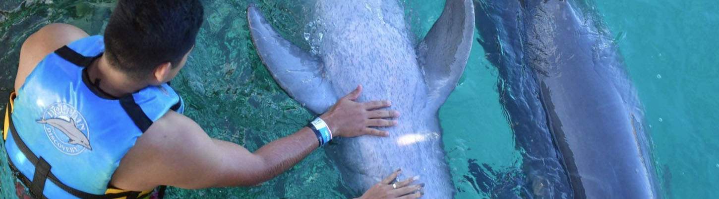 Isla Mujeres Royal Dolphin Swim 7