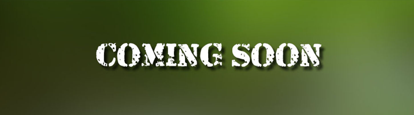 PADI Open Water Diver 3