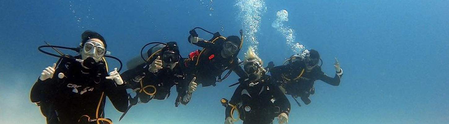 Playa Del Carmen Reef Dive (2 Tanks) 1