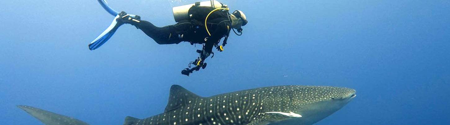 Playa Del Carmen Reef Dive (2 Tanks) 7