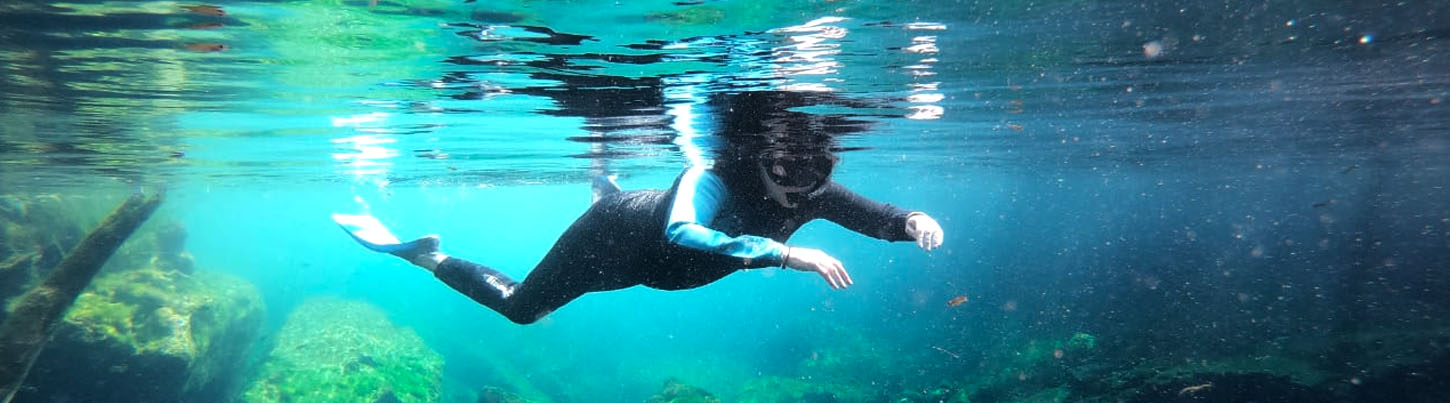 Playa Del Carmen Reef Snorkel (Moche Express) 1