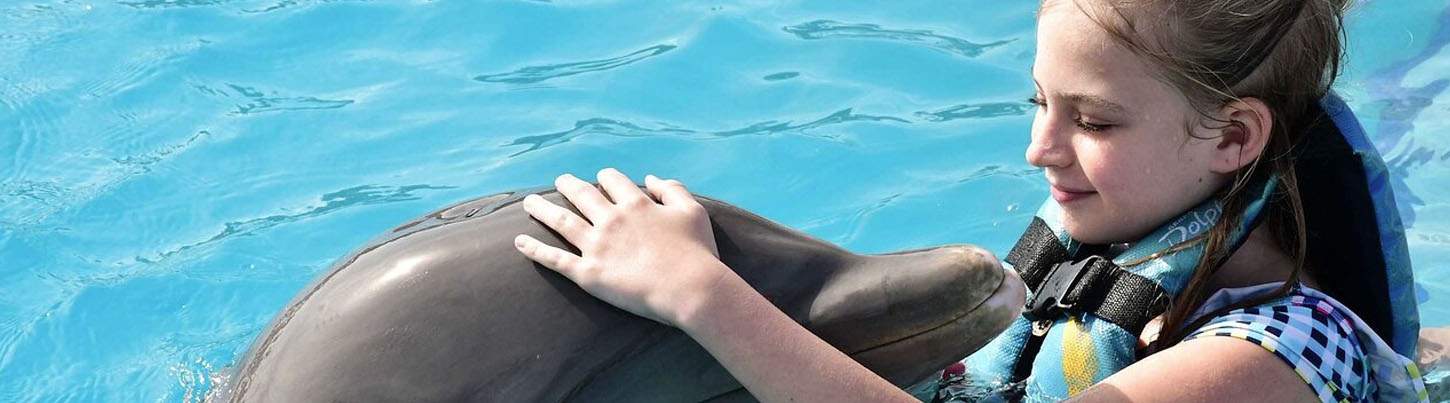 Playa Maroma Dolphin Encounter 1