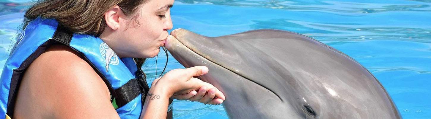Playa Maroma Dolphin Encounter 2