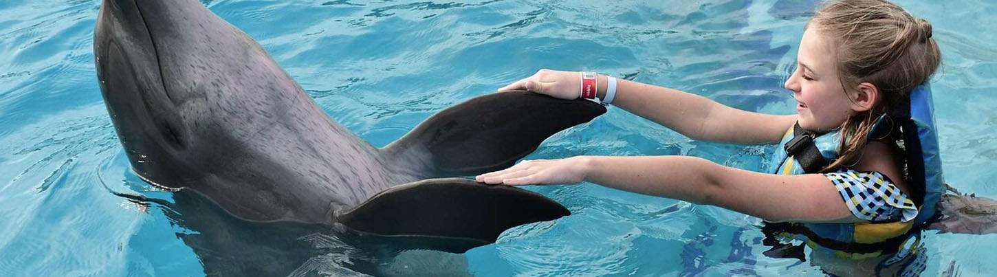 Playa Maroma Dolphin Encounter 3