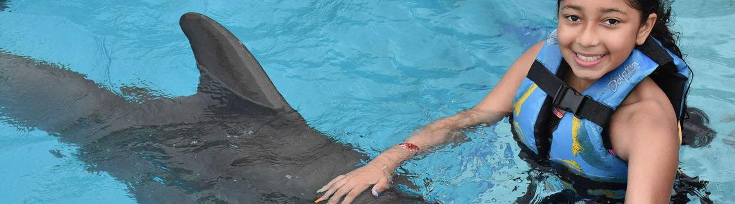 Playa Maroma Dolphin Encounter 7