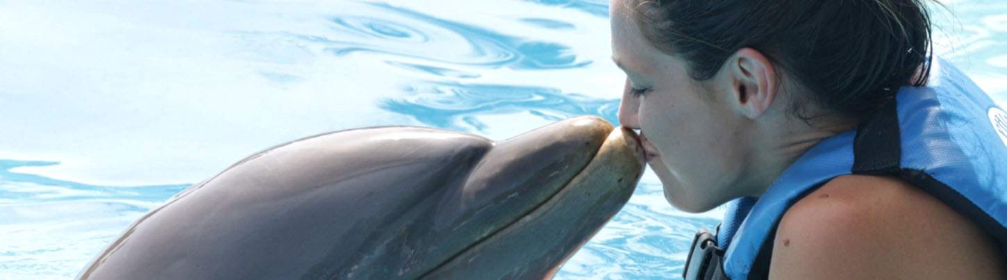 Playa Maroma Royal Dolphin Swim 6