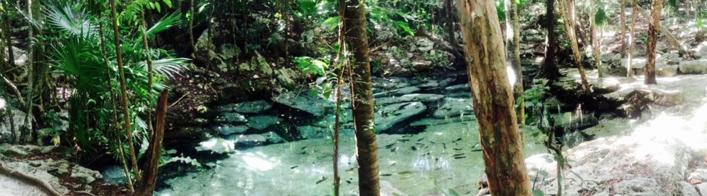 Private Tulum Mayan Ruins + Cenote Swim 1