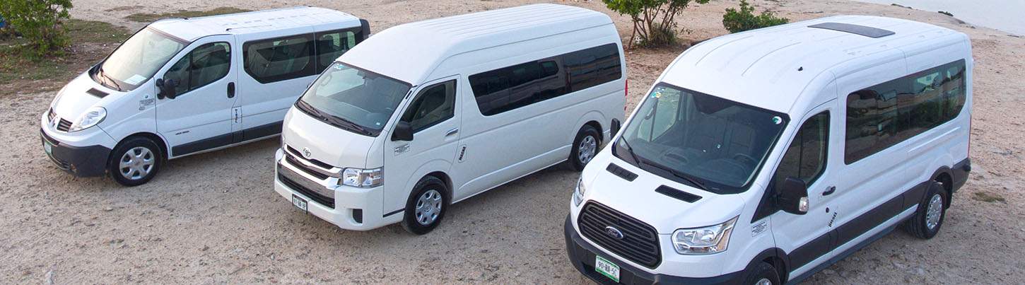 Private Tulum Ruins + Coba Pyramid Tour 8