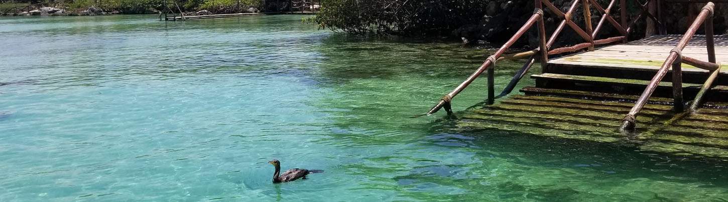 Private Xel Ha Express 4