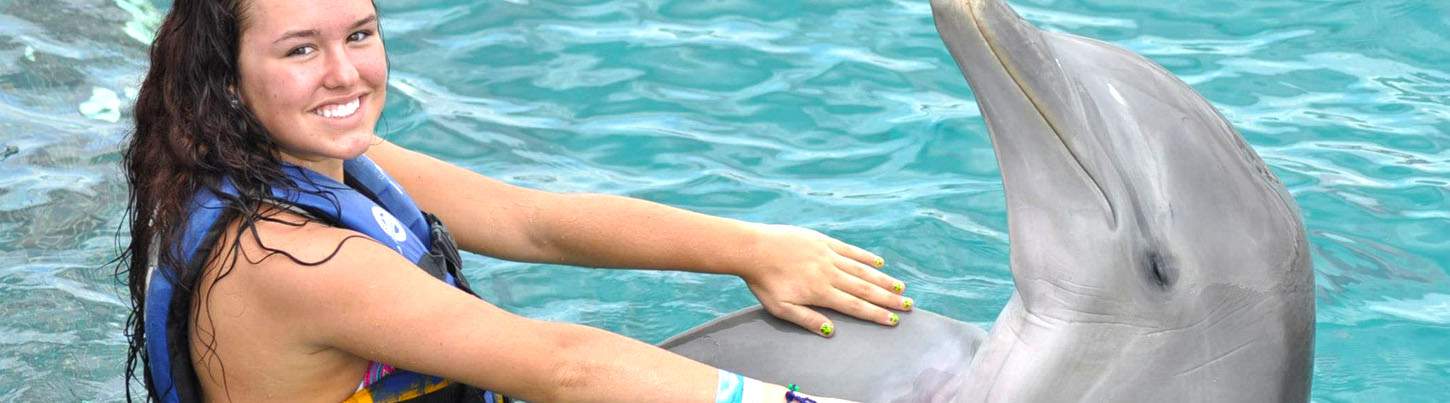 Puerto Aventuras Dolphin Encounter 4