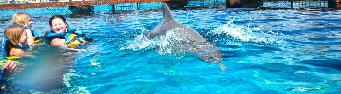 Puerto Aventuras Dolphin Encounter 7