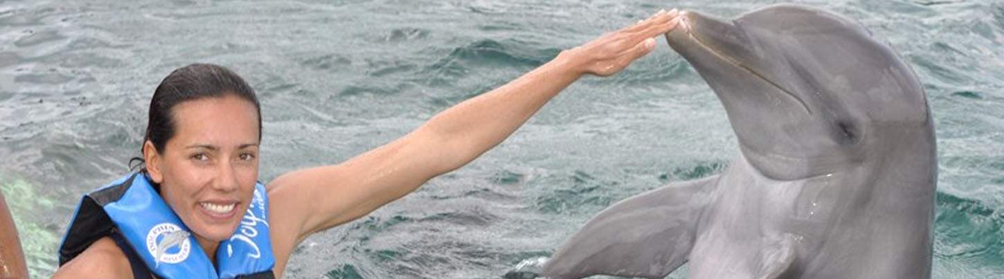 Puerto Aventuras Dolphin Encounter 8