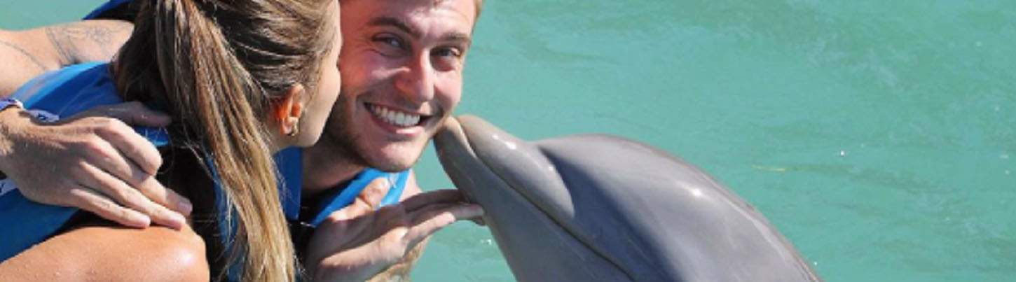 Puerto Aventuras Dolphin Swim + Manatee & Sea Lion Combo 1