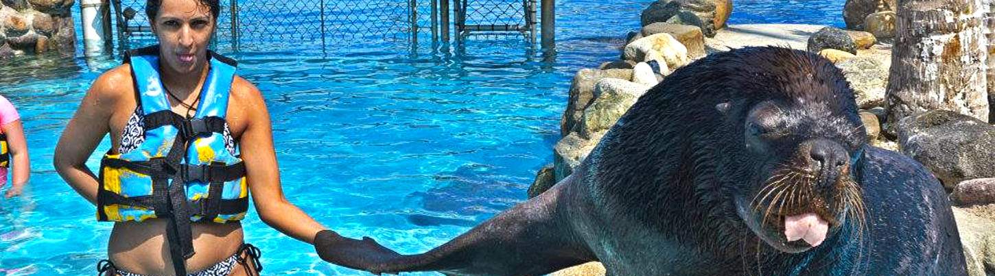 Puerto Aventuras Dolphin Swim + Manatee & Sea Lion Combo 5