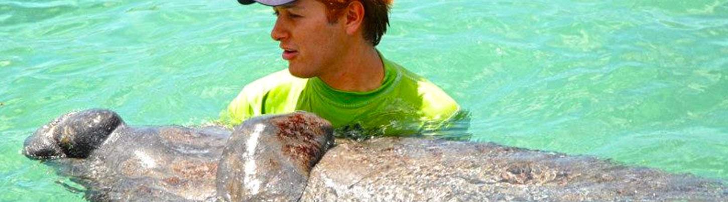 Puerto Aventuras Dolphin Swim + Manatee & Sea Lion Combo 6