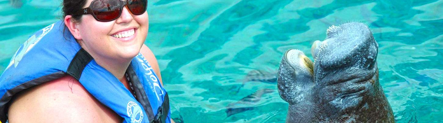 Puerto Aventuras Dolphin Swim + Manatee & Sea Lion Combo 8