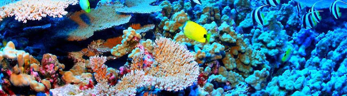 Puerto Morelos Catamaran Sail 3