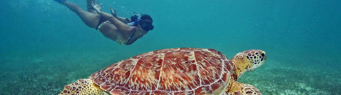 Puerto Morelos National Marine Park Snorkel 1