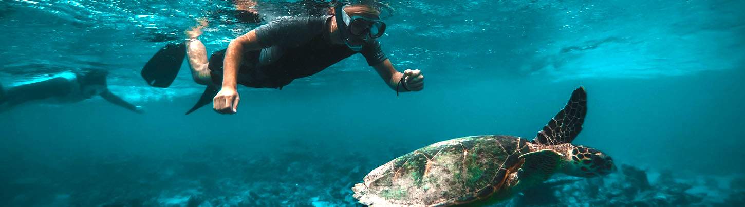Puerto Morelos National Marine Park Snorkel 8