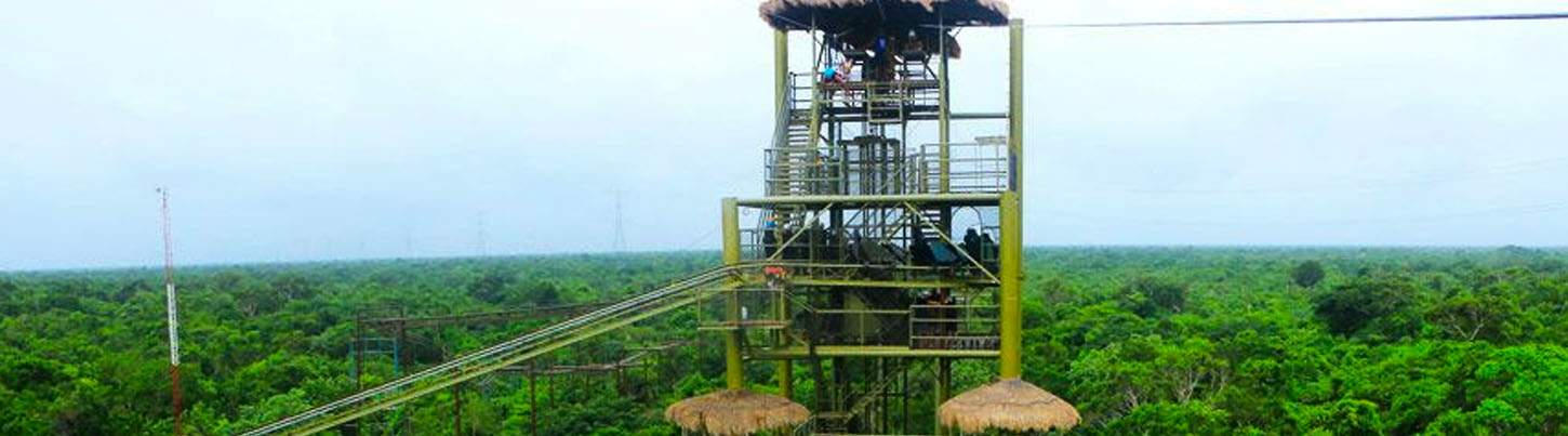 Super Jungle Extreme Combo 6