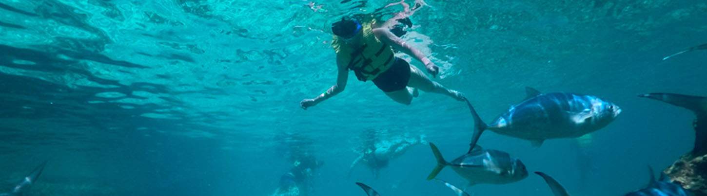 Selvatica Zip Line + Snorkel Combo 1