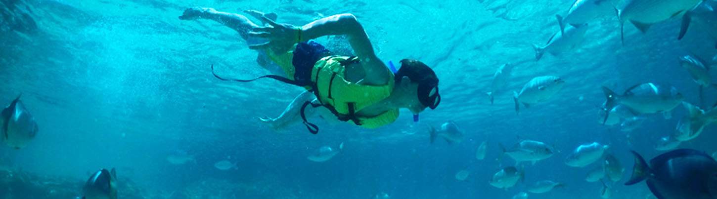 Selvatica Zip Line + Snorkel Combo 5