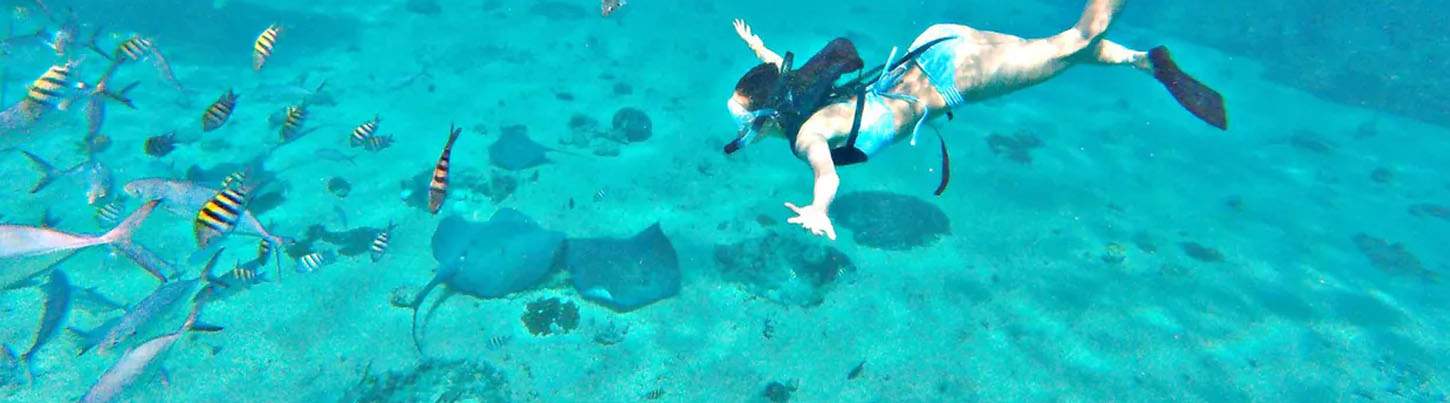 Snorkel With Sting Rays in Cozumel 1