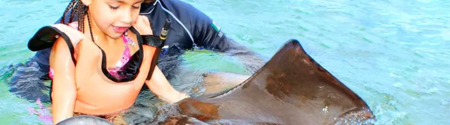 Snorkel With Sting Rays in Cozumel 4