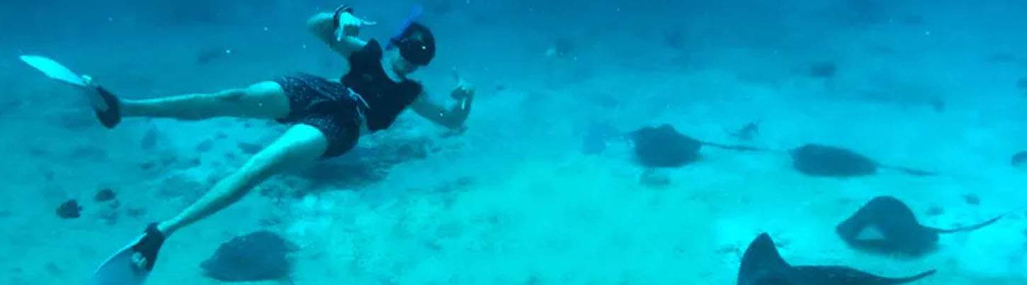 Snorkel With Sting Rays in Cozumel 6