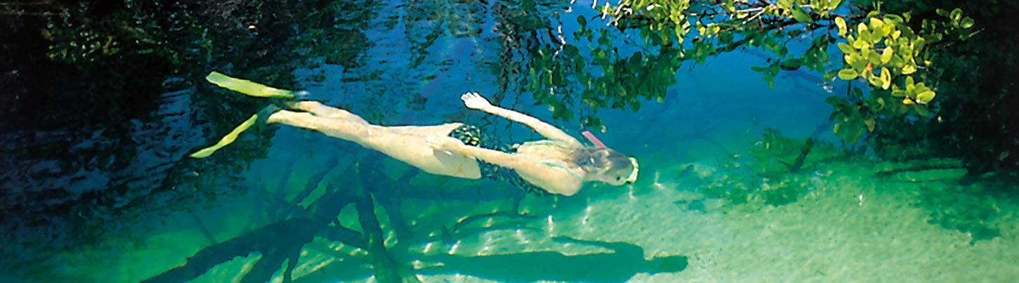 Mayan Ruins of Tulum + Xel Ha All-Inclusive 7