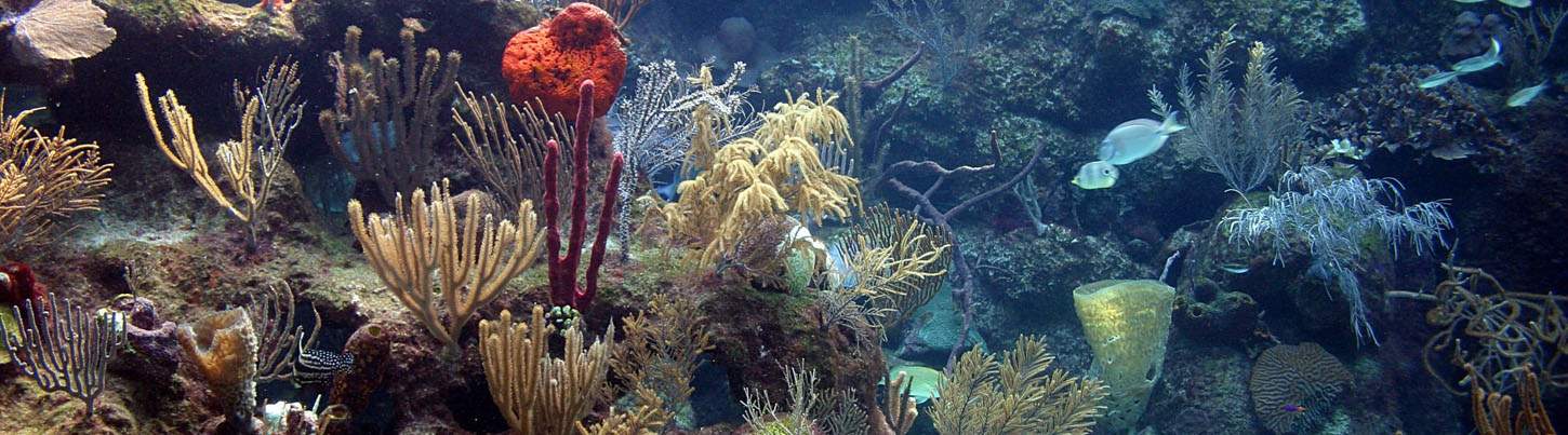 Xcaret Plus Package 2