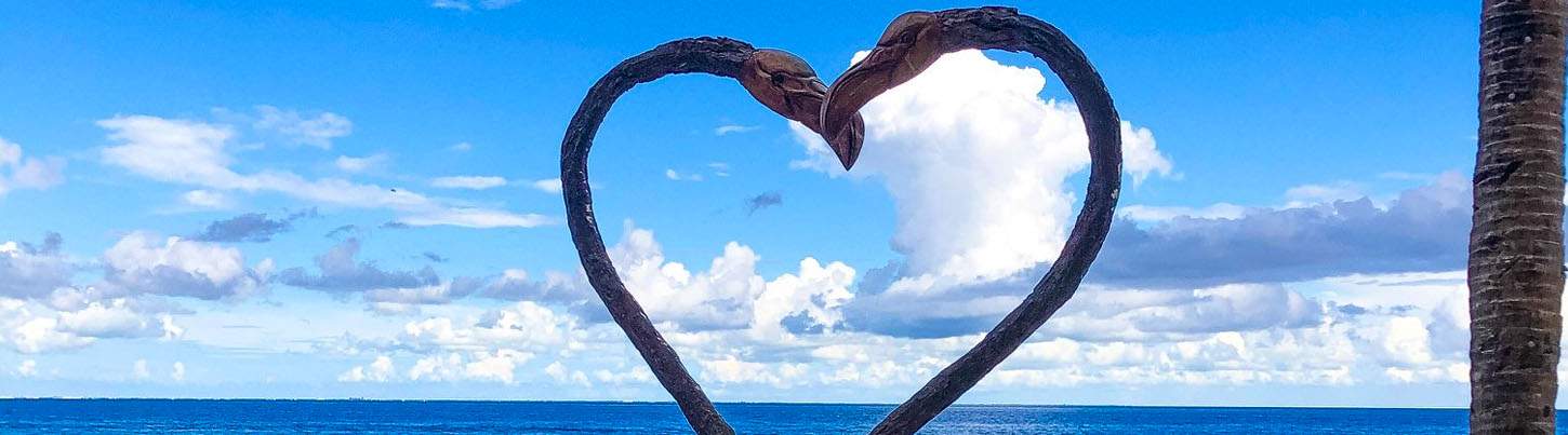 Xcaret Tour Basic Package 3