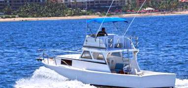 36' Custom Sportfisher (15 Pax)