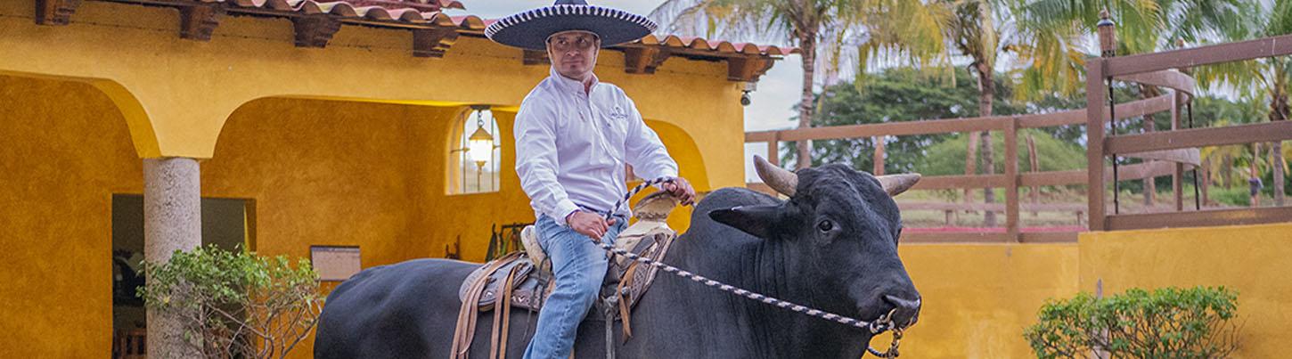 Cena Mexicana en Riviera Nayarit & Espectáculo de Mariachi 4