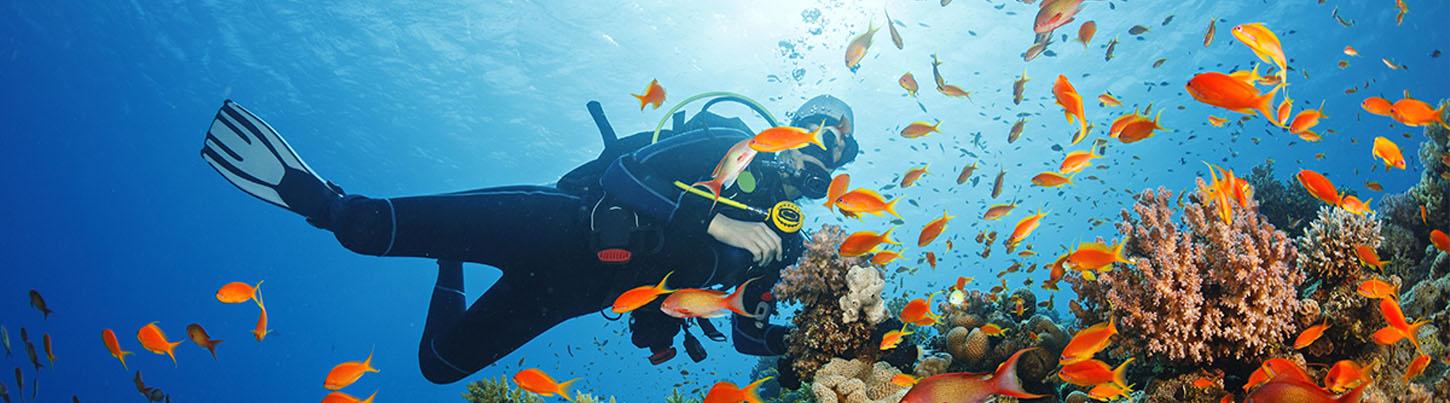 Certificación Avanzada PADI de Buzo en Aguas Abiertas 8