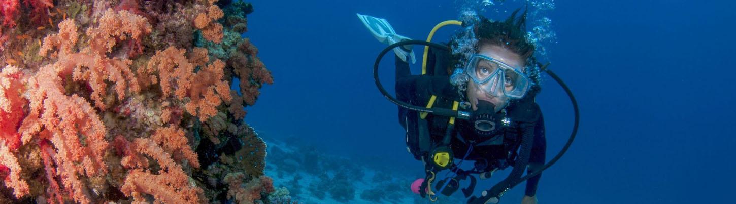 Curso Descubriendo el Buceo en Puerto Vallarta 2