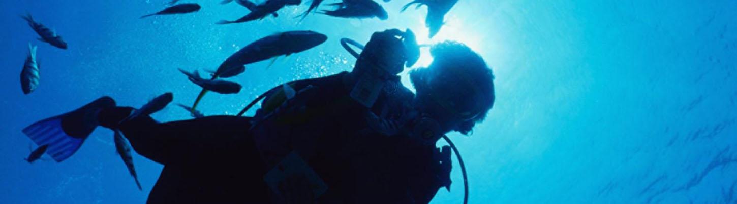 Curso de Referimiento (Referral) PADI en Aguas Abiertas 2