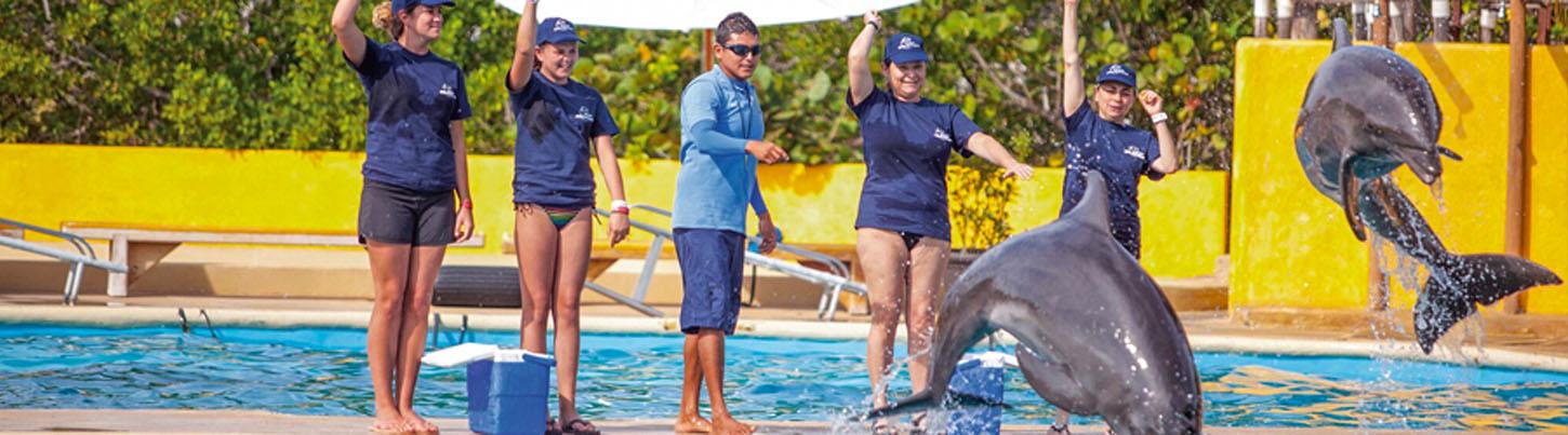 Entrenador de Delfines Por Un Día en Puerto Vallarta 7